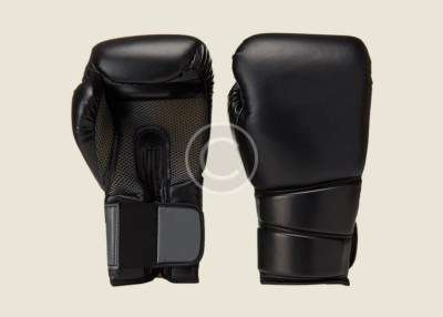Professional Training Gloves