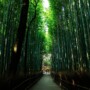 現代の日現代の日本人こそ「丹田」を鍛えるべき理由とは？本人こそ「丹田」を鍛えるべき理由とは？